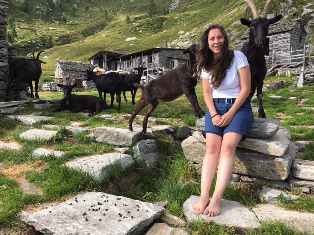 Anja and the herd...